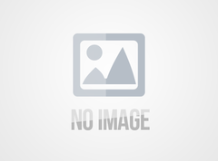 (English) Artificial Lawn Grass